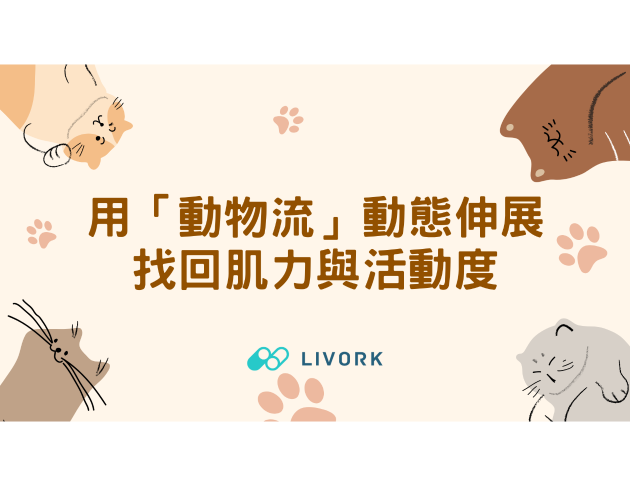 用「動物流」動態伸展找回肌力與活動度